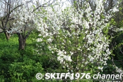 2013-05-11 05-00-08