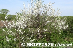 2013-05-11 05-01-04