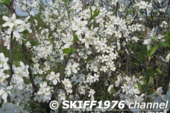 2013-05-11 05-01-30