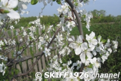 2013-05-11 05-01-48