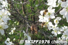 2013-05-11 05-02-02