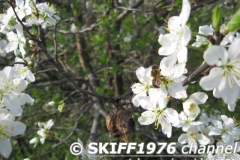 2013-05-11 05-02-04