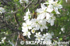 2013-05-11 05-02-10