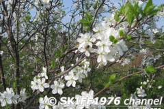 2013-05-11 05-02-46