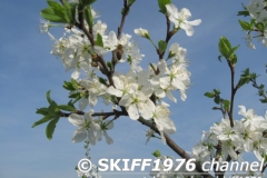 2013-05-11 05-03-40