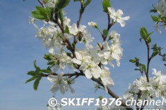 2013-05-11 05-03-44