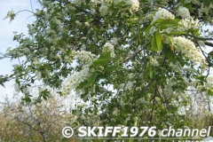 2013-05-11 05-05-44