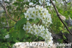 2013-05-11 05-06-28