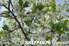 2013-05-11 06-07-08