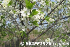 2013-05-11 06-07-24