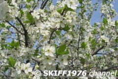 2013-05-11 06-07-34