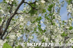 2013-05-11 06-07-40