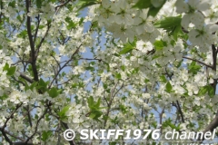 2013-05-11 06-07-50