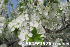 2013-05-11 06-08-06
