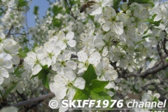 2013-05-11 06-08-08