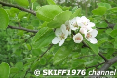 2013-05-11 12-09-02