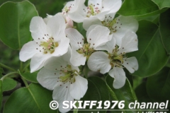 2013-05-11 12-09-56