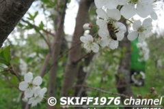 2013-05-11 12-11-04