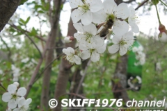 2013-05-11 12-11-08