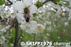 2013-05-11 12-11-24