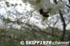 2013-05-11 12-11-48