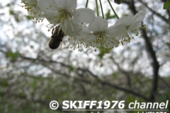 2013-05-11 12-11-54