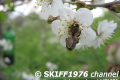 2013-05-11 12-12-10