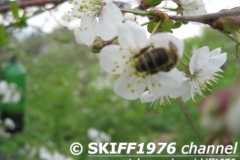 2013-05-11 12-12-24