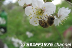 2013-05-11 12-12-30