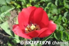 2013-05-12 05-50-52
