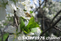 2013-05-12 05-53-24