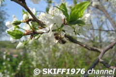 2013-05-12 05-54-06