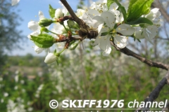 2013-05-12 05-54-12